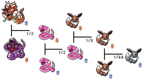 pokemon gen 2 shiny breeding.